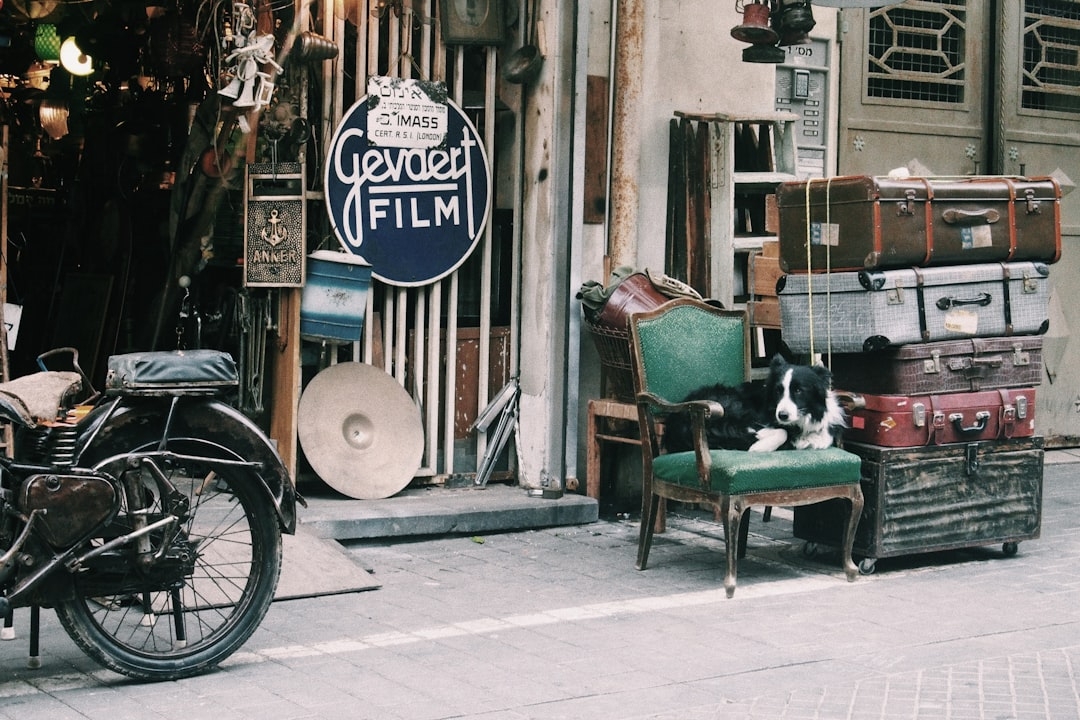 Servicio económico para vaciar su piso en Les Franqueses del Vallès CANALCOVER Servicio económico para vaciar su piso en Les Franqueses del Vallès
